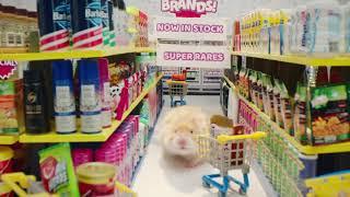 Hammy & his *FRIENDS* check out the MINI MART!