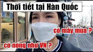 KHÁM PHÁ THỜI TIẾT TẠI HÀN QUỐC | ReinaNguyen 레이나