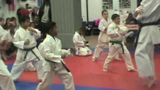 Brooklyn Martial Arts