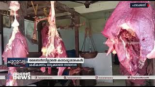 മണ്ണാർക്കാട് നഗരസഭയിൽ കശാപ്പ് ശാലകൾ പ്രവർത്തിക്കുന്നത് ലൈസൻസ് ഇല്ലാതെ | Slaughterhouse Mannarkkad