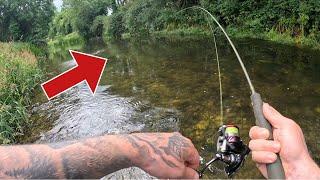 TROUT fishing with Spinners (40 Fish in One Session)