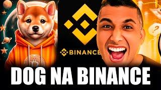 CRIPTOMOEDA DOG GO TO THE MOON NA BINANCE? DOG COMEÇOU A BOMBAR, VALE COMPRA AGORA?