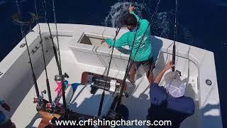 Sportfishing Adventure in Costa Rica: A Day to Remember with CR Fishing Charter