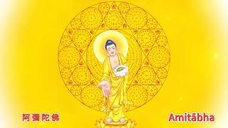 7小時天籟咒輪版 阿彌陀佛 Amitabha 아미타불 阿弥陀仏 A Di Đà Phật พระอมิตาภพุทธะ 諸佛加持無間斷，皆因自心妄想執著而不見，時時以佛號轉妄念，至心量如佛，福德如佛