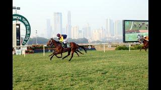 RED BISHOP wins The N. M. Irani Trophy