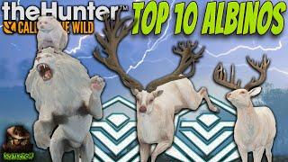 Top 10 CRAZIEST Albino Rares I Have Found In My 6000 Hours! Call of the wild