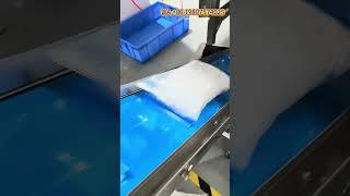 600g title level system pouch filling sealing machine，plastic solid packaging equipment #machine