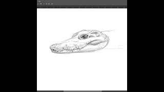 Crocodile drawing YouTube short wildlife sketching digital art time lapse