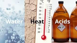 Anti-Hydrolysis Additives | LUBIO Hydrostab & Hystab | Polymeric Stabilizers