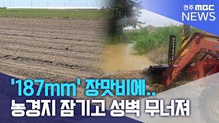 '187mm' 장맛비에.. 농경지 잠기고, 성벽 무너져 | 전주MBC 250622방송