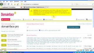 Domainface: the Ultimate Domain Tool