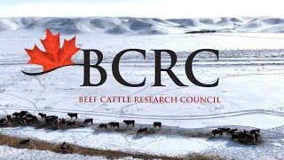 Advancement Through Science:  The Purpose of the Beef Cattle Research Council