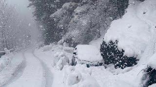 Sissu जाने वाले ये पांच गलतियां भूल कर भी ना करें || Solang valley to Sissu Road conditions || Snow