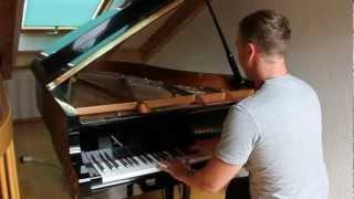 Evanescence - My Immortal (Benedikt Waldheuer Piano Cover)