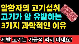 암환자, 고기를 먹지 말아야하는 3가지 이유! 암환자 절대 금지 식품 1가지 I 와타요 다카호 I 암치료 I 아침주스 & 과일 채소 식이요법