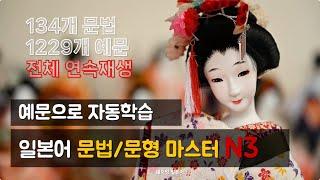 예문으로 일본어 문법, 문형 마스터 하기 N3 레벨 (9시간 풀버전 연속 재생)