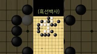 까꿍프로가 감탄한 묘수 #Shorts