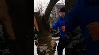 Ручная цепная пила в действии #пила #пчеловодство #пасека #цепнаяпила
