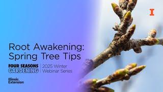 Root Awakening: Spring Tree Tips: Four Seasons Gardening Webinar