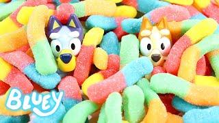Bluey and Bingo Turn Their House Into a CANDY SHOP  - Bluey Toys Magical Genie Adventure 3 Wishes