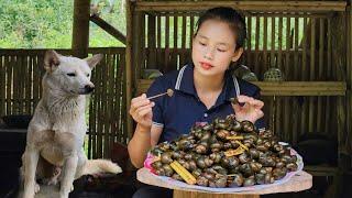 Harvest snails for sale - Snails stir-fried with lemongrass and chili l Lý Thị Sai