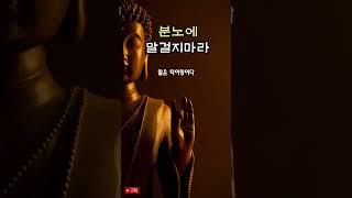 화가 치밀어 오를때 말걸지마라 침묵이 답이다 #명언 #고민상담 #화날때 #분노조절
