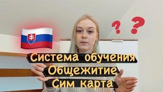 Всё о Системе Обучения и Общежитиях в Словакии