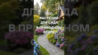 Модный Сад, а Стоит Копейки!