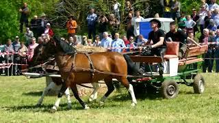 VII ZAWODY ZAPRZĘGÓW KONNYCH - GRABOWIEC, 21.05.2023