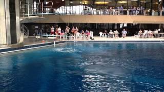 3m Woman Luxembourg diving (Turmspringen/Wasserspringen)TPSK