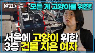 서울 한복판에 고양이를 위해 지은 거대 주택이 있다?! 길에서 만난 고양이를 위해 완전 고양이 위주의 건물 지은 부부｜고양이를 부탁해｜알고e즘