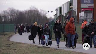 6.8 million Ukrainian refugees remain globally; fewer than half plan to return | VOA News