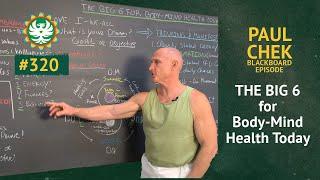 The Big 6 For Body-Mind Health Today | Paul Chek
