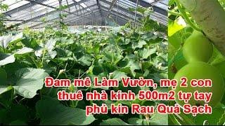 Đam mê Làm Vườn, mẹ 2 con thuê nhà kính 500m2 tự tay phủ kín Rau Quả Sạch