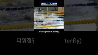 swim #butterfly #diving #수영 #접영 #다이빙 #swimming #mariposa #mariposa #бабочка