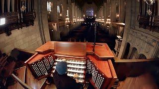 Pipe Organ (An instrument the size of a building)