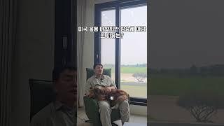 미국음봉나왔지만상승세 마감 그 이유는? #shorts #stockmarket #stocks #shortvideo #short #subscribe #주식 #crypto  #미국성장주