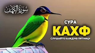 СУРА КАХФ سورة الكهف - СЛУШАЙТЕ КАЖДУЮ ПЯТНИЦУ, СЕГОДНЯ ЭТО СУННА!