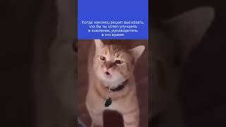 #содействиезанятости #юмор #любимаяработа #рабочиебудни #руководитель
