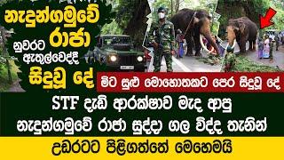 දැඩි ආරක්ෂාව මැද නුවරට අතුල්වුණු නැදුන්ගමුවේ රාජා - Nedungamuwe Raja Enter to Kandy Coty - Nilame