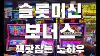 강원랜드 슬롯머신 잭팟잡는 노하우 First public release Slot machine jackpot catching know-how