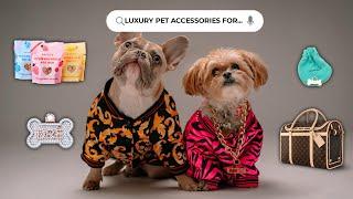 TOP 10 Best Luxury Pet Accessories for the Ultimate Pet Pampering