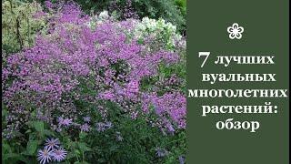  7 лучших вуальных многолетних растений: обзор
