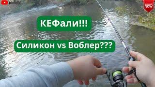 КЕФали - силикон vs воблер???