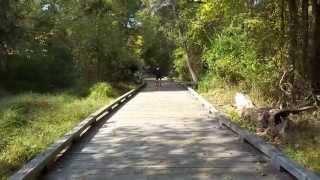 Mike Young Real Estate | Vid 4 | The Mike Young Walk / Run :)