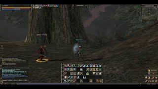 L2 Reborn x1 Lineage 2 Interlude -MrBonnie Next Subclass Hawkeye -A quiet day in Forest Of The Dead