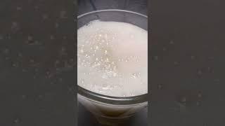 thank you FUNGI for BEER - Saccharomyces #asmr