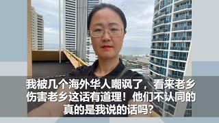 坤姐闯江湖：我被几个海外华人嘲讽了，看来老乡伤害老乡这话有道理！他们不认同的真的是我说的话吗？