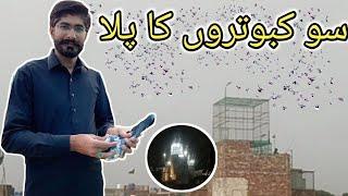 استاد علی ٹریول ایجنسی والے نے رونق لگا دی - Nasir pigeon club