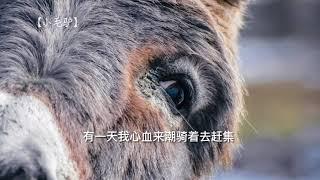 试听版 79【最受欢迎童谣一百首1】 完整版 请签购372粉丝俱乐部